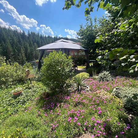 Guest House Milka Yagodina Exterior foto