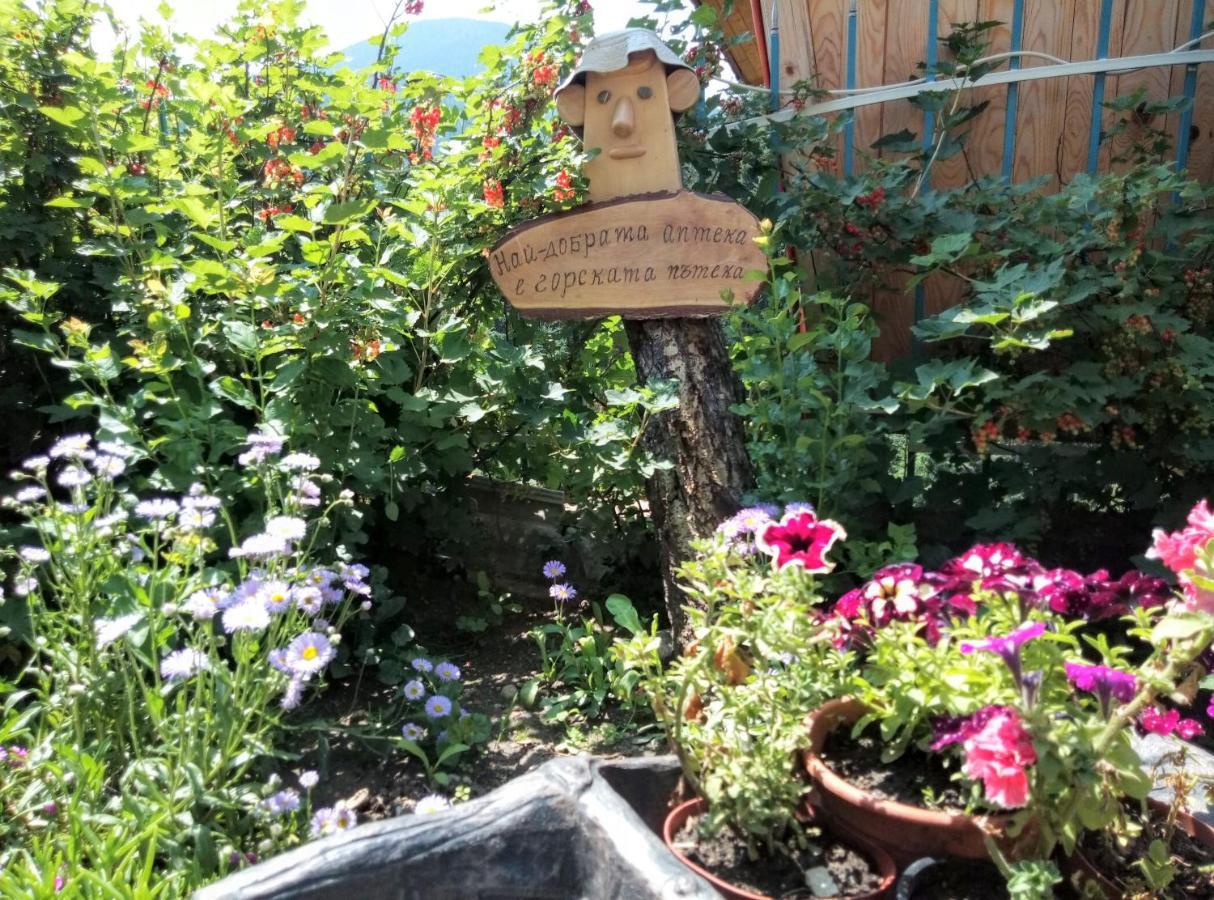 Guest House Milka Yagodina Exterior foto