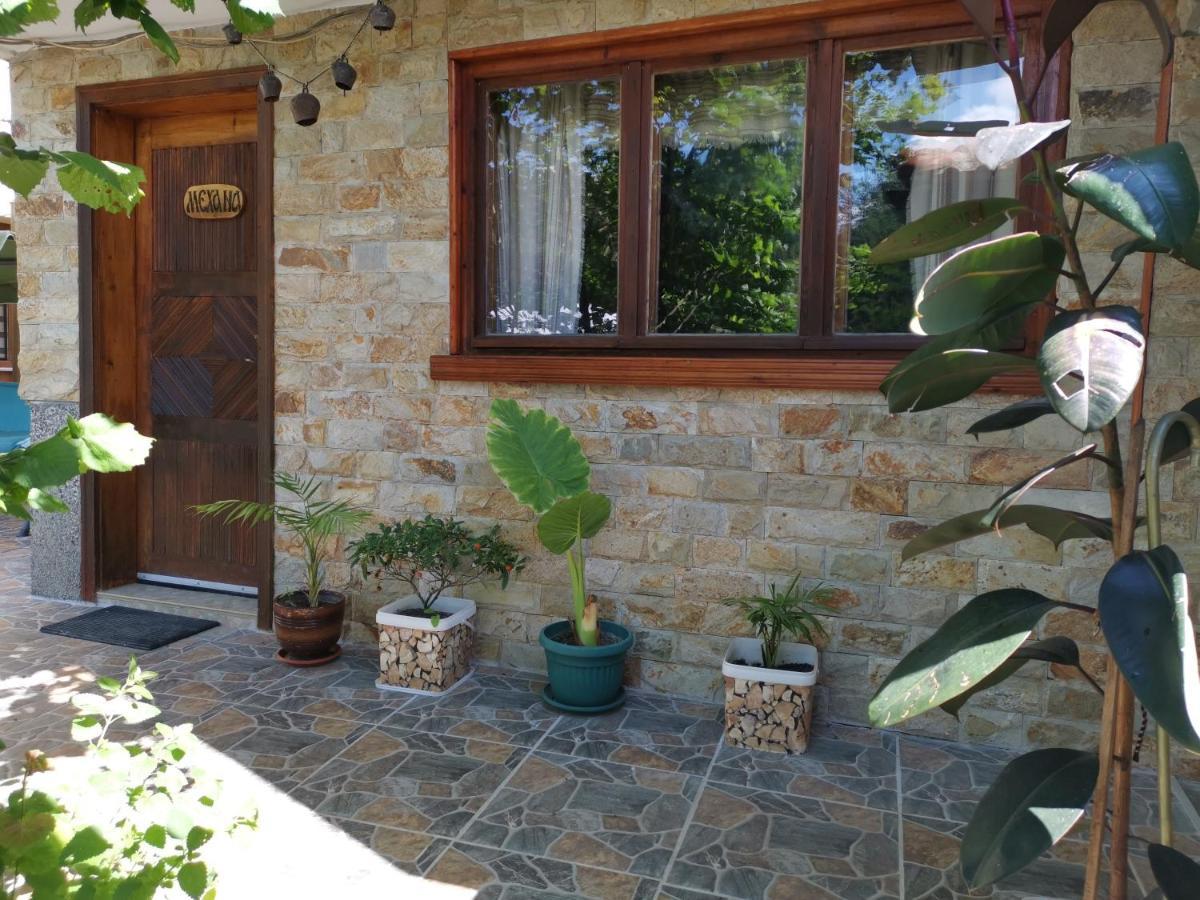 Guest House Milka Yagodina Exterior foto